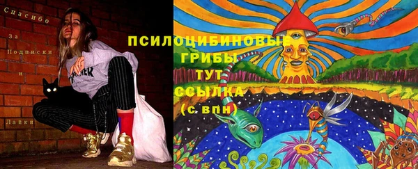 прущие крисы Вязьма