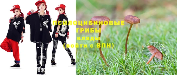 гидропоника Няндома